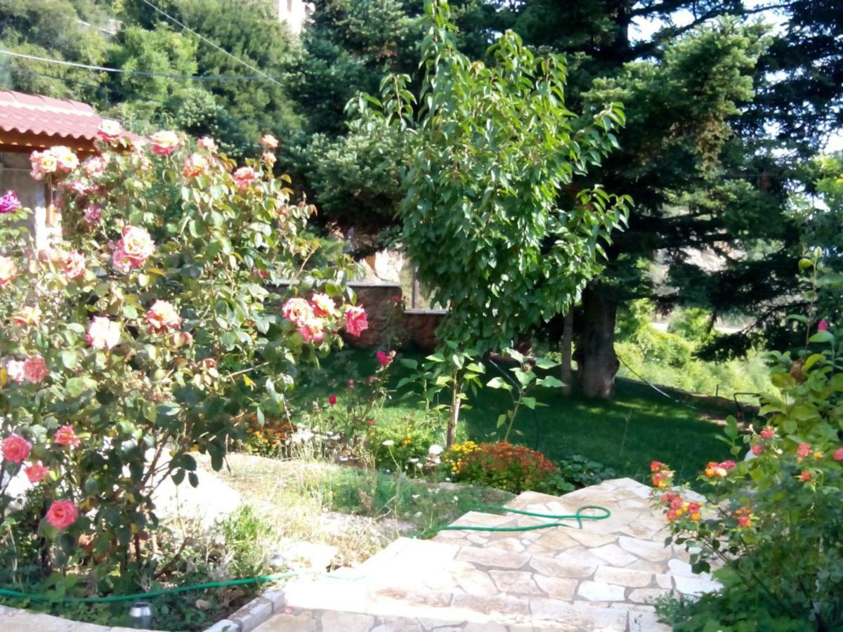 Elatos Cozy Studio Ano Trikala Exteriör bild