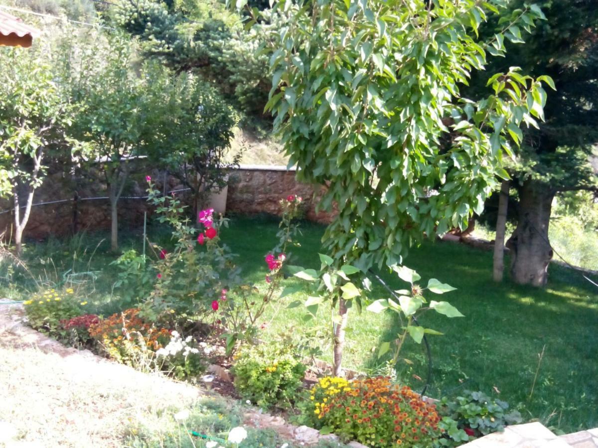 Elatos Cozy Studio Ano Trikala Exteriör bild