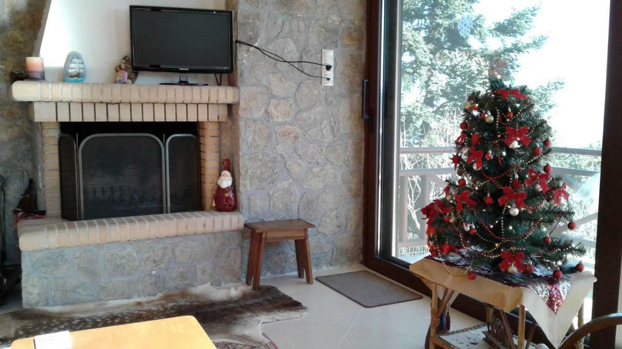 Elatos Cozy Studio Ano Trikala Exteriör bild