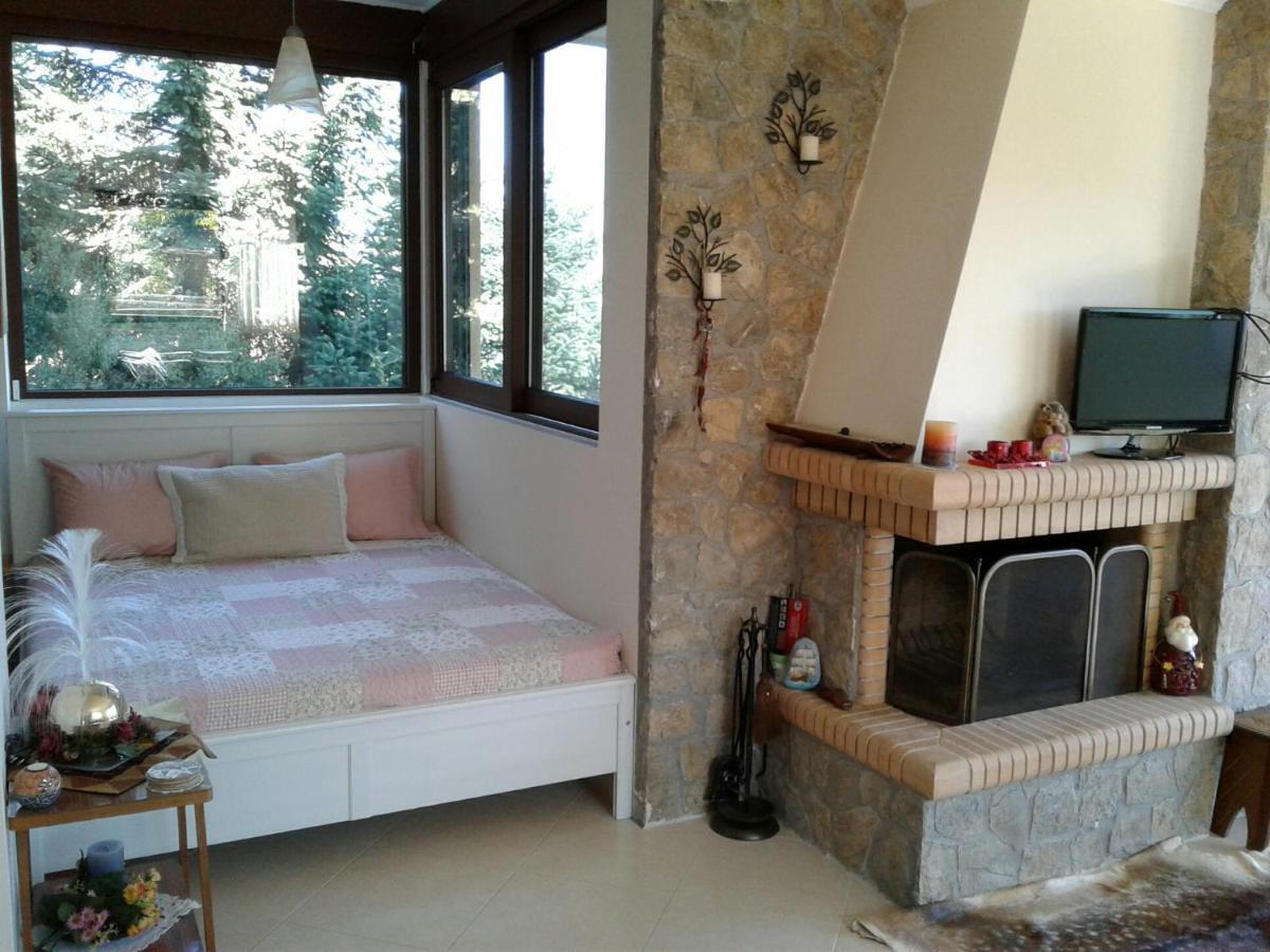 Elatos Cozy Studio Ano Trikala Exteriör bild
