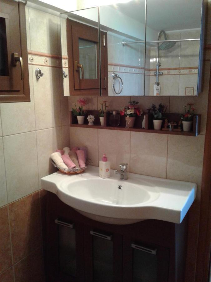 Elatos Cozy Studio Ano Trikala Exteriör bild